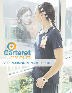 2016 nursing annual report cover